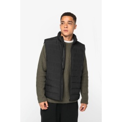 Meeste tepitud vest