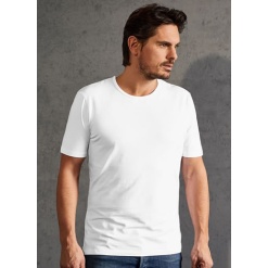 PD 3081 Meeste Slim Fit-T