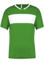 PS_PA4000_GREEN-WHITE.jpg