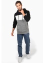 Tricolour Hoodie_K4016-6_2023.jpg
