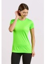 3521_green-gecko_studio.jpg