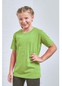 399_wild-lime_studio.jpg