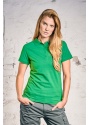 4405_green_studio.jpg
