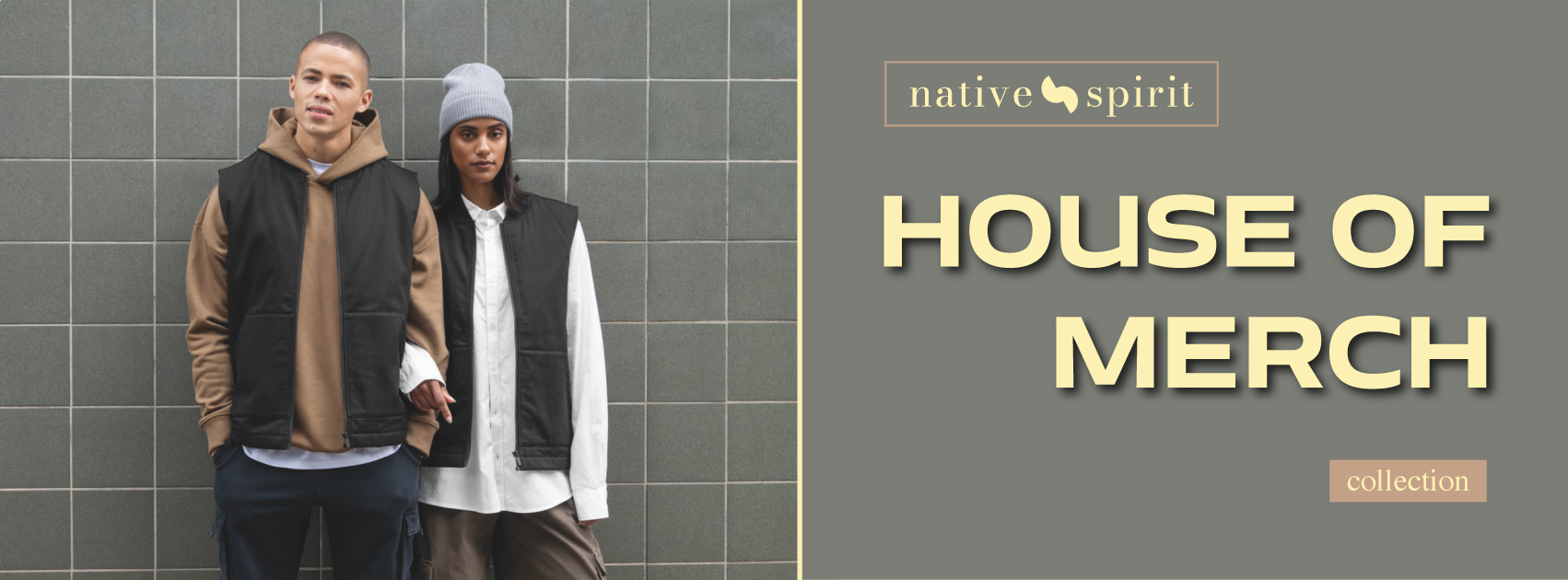 banner-NS-merch.jpg (354 KB)